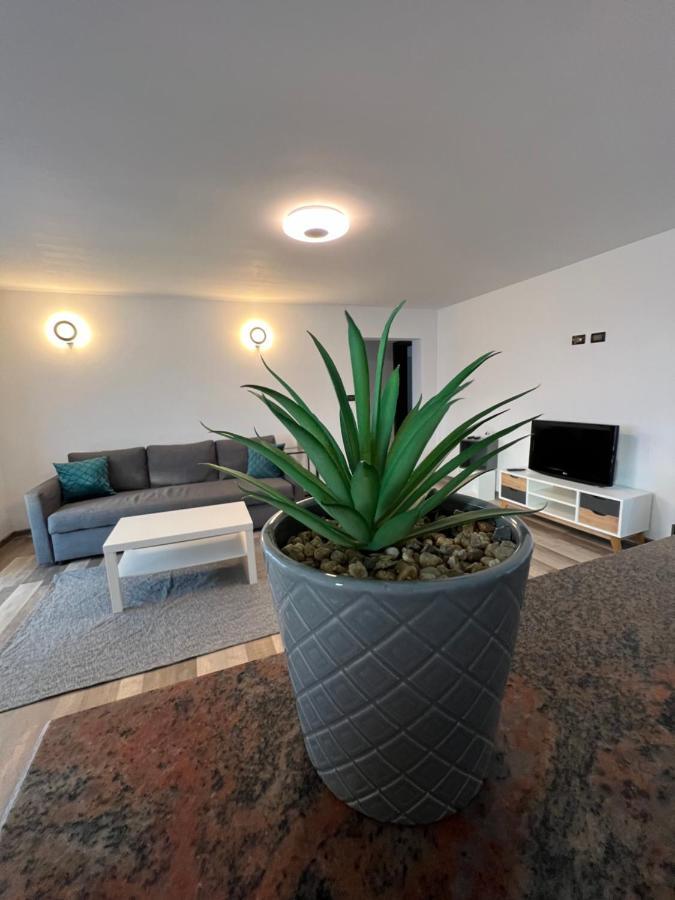 Sunny Luxury Home G. Enescu Suceava Luaran gambar